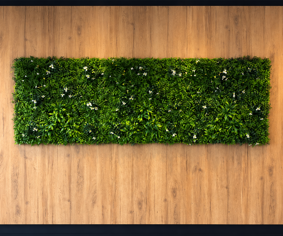 Plantes variées grand format