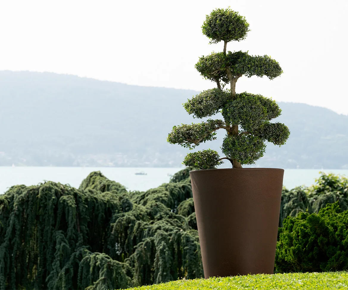 Pot Architect